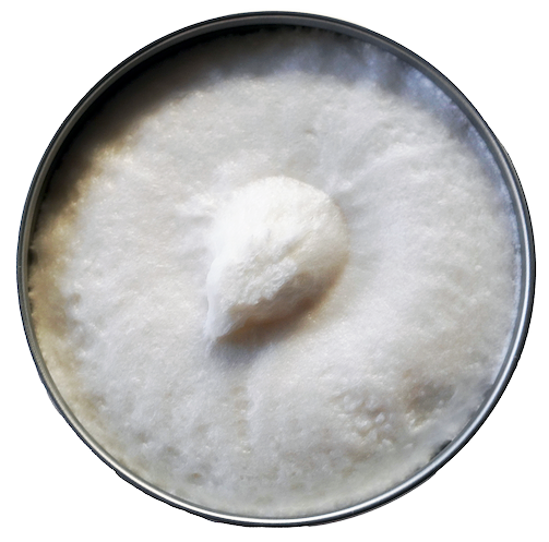 GOLDEN BEARDS CREMA DE AFEITAR